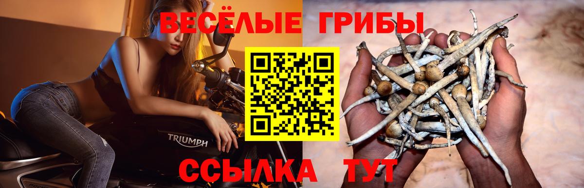 Псилоцибиновые грибы ЛСД Азнакаево